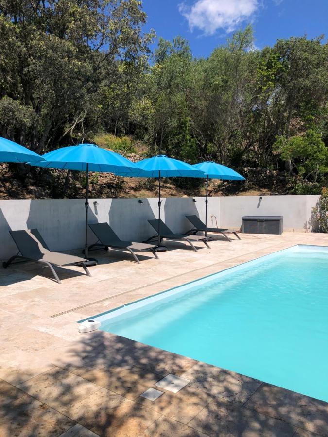 Villa Grande Maison Avec Piscine *
