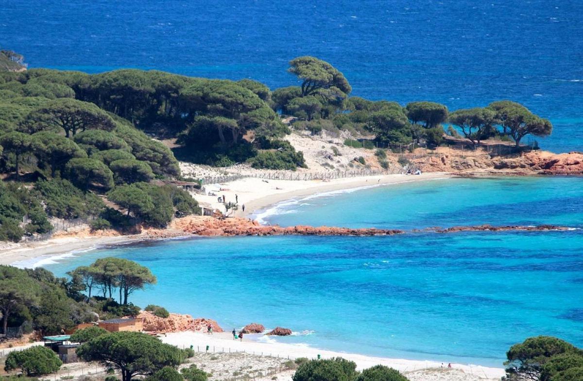Villa Grande Maison Avec Piscine Porto-Vecchio (Corsica)